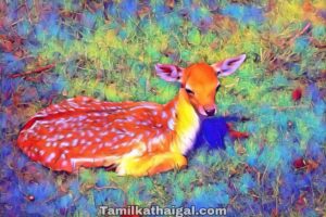 Deer_animation