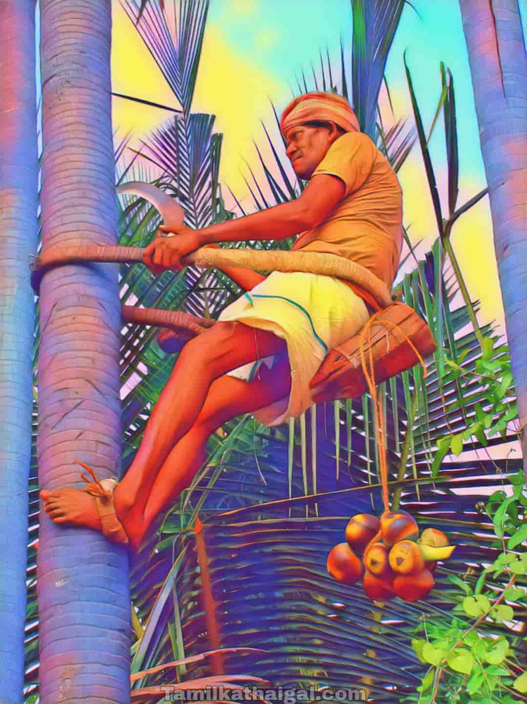 Palm tree climbing tamil kathaigal